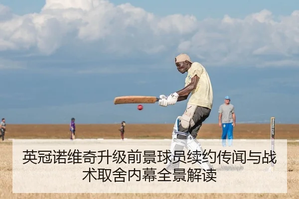 英冠诺维奇升级前景球员续约传闻与战术取舍内幕全景解读